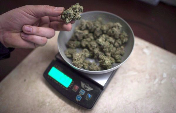 Marijuana is weighed at a medical marijuana dispensary