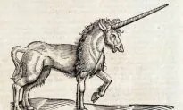 White Pony Dressed Like a Unicorn Runs Off for Several Hours