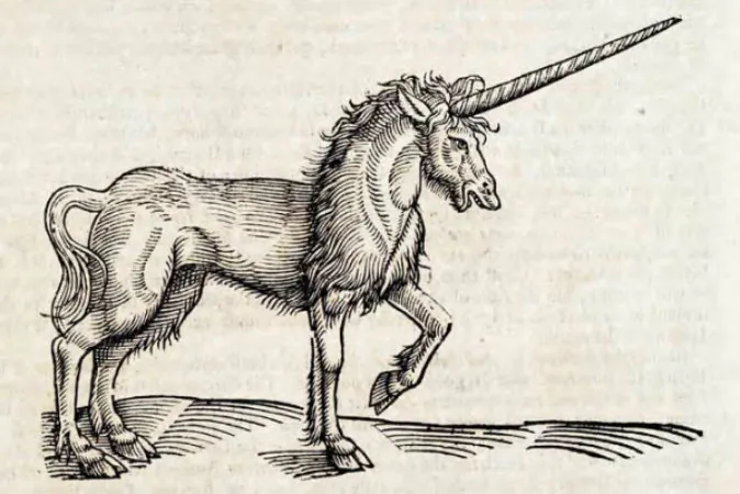 This woodcut is an illustration from the book The history of four-footed beasts and serpents by Edward Topsell. (Special Collections, University of Houston Libraries via Creative Commons)