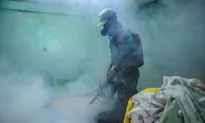 Woman Infected with Zika Virus in Chicago
