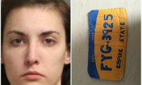 Woman Faces Felony for Driving With Fake License Plate Made From Cardboard in New York