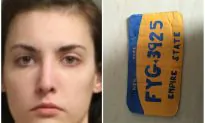 Woman Faces Felony for Driving With Fake License Plate Made From Cardboard in New York