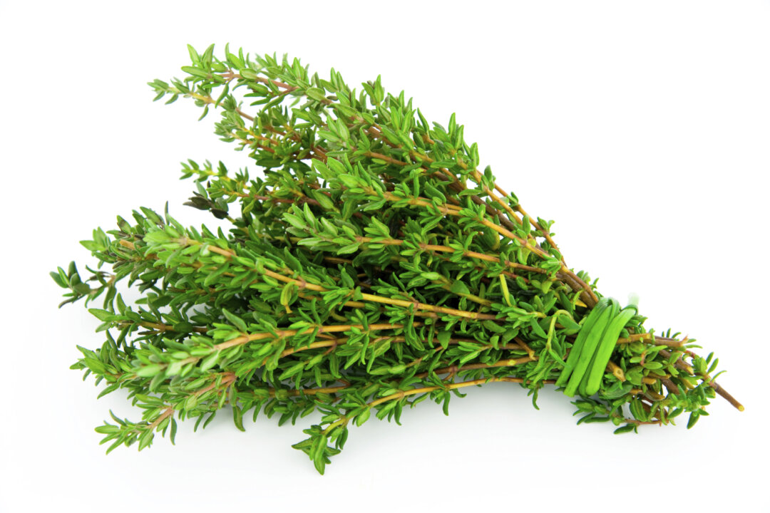 Fragrant thyme was once believed to bolster courage. (zeleno/iStock)