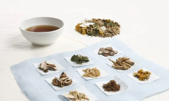 Herbal Medicine Effective Against Prostate Cancer, Leukemia: Study
