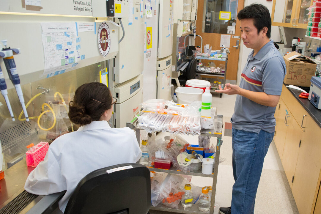 A professor confers with his graduate student about the next steps in their research in a lab at FSU, in Tallahassee, Fla. (FSU Photography Services/Florida State University via AP)