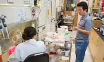 Three-Quarters of US Scientists in Nature Poll Consider Leaving the Country