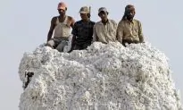 Seeds of Trouble: Monsanto Threatens to Pull Out of India