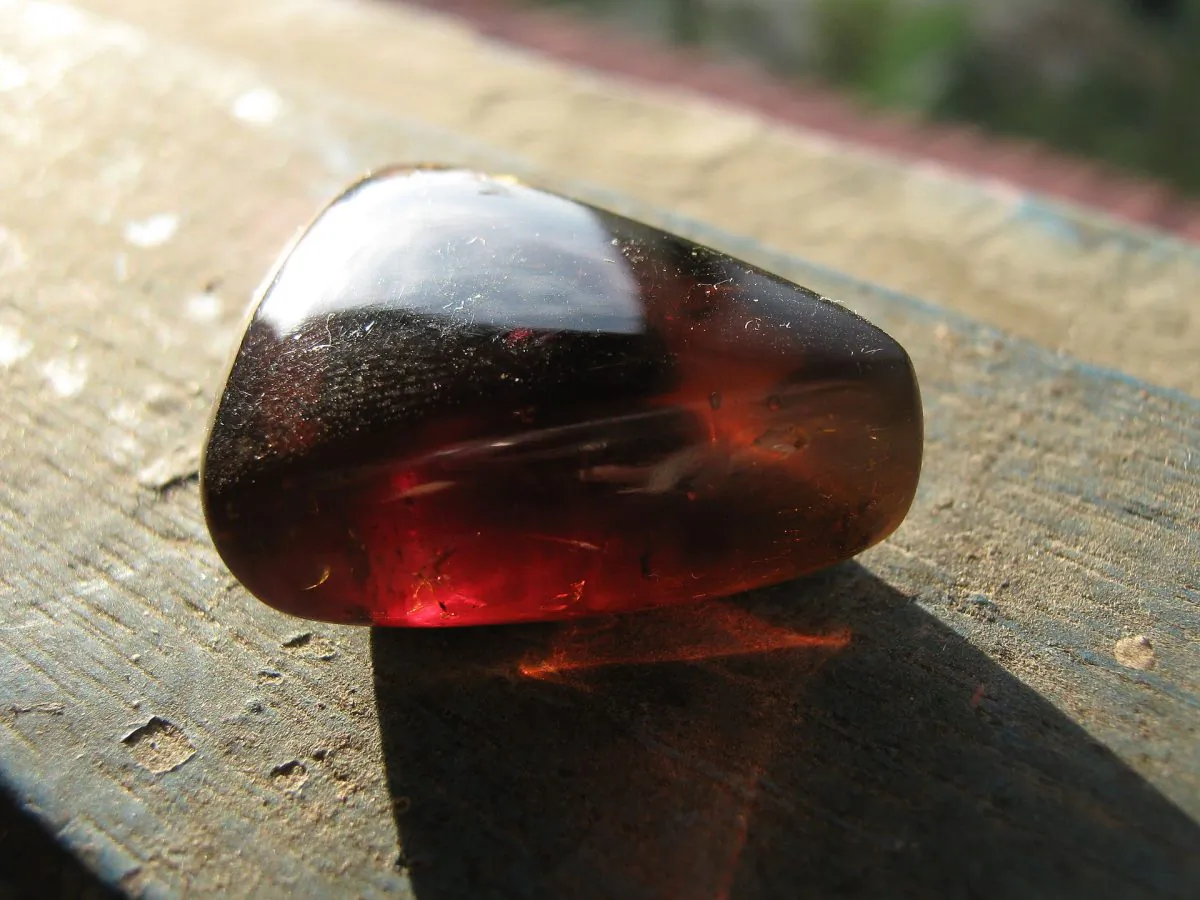 Transparent variety of Borneo amber from Sabah, Malaysia. Some Sabah amber has been dated with minimum ages as 17 millions years old. (Sebakoamber/Wikicommons)