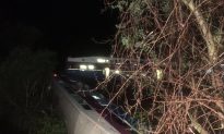 9 Hurt as Train Derails, Car Plunges Into California Creek