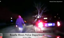 Woman Driving With 15-Foot Tree Stuck To Car Gets Arrested For DUI
