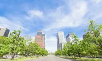 If Planners Understand It’s Cool to Green Cities, What’s Stopping Them?