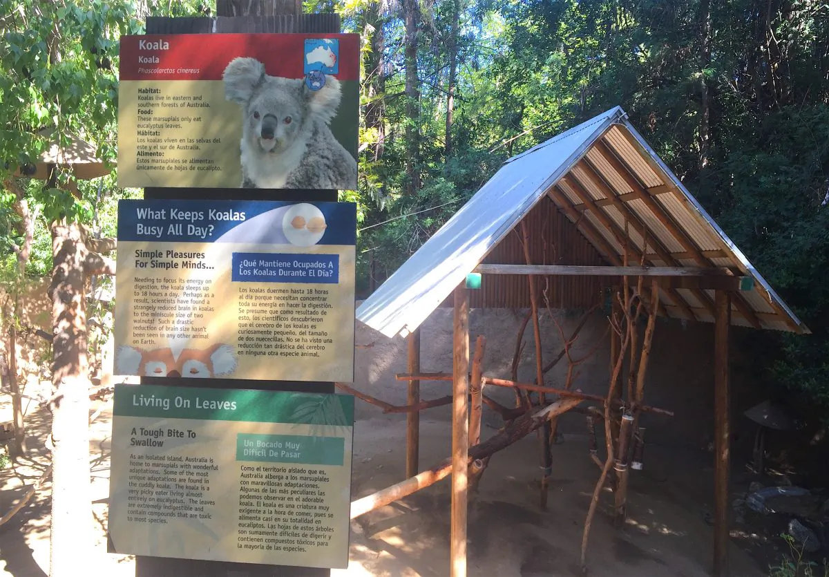 An empty koala enclosure at the Los Angeles Zoo in Los Angeles, Calif. on Mar. 10. (Sarah Le/Epoch Times)