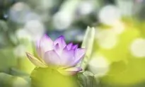 Spring Is a Time to ‘Go With the Flow’ in Chinese Medicine