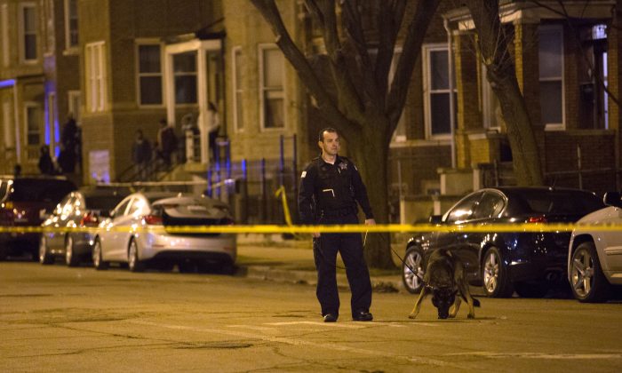 A Chicago crime scene on March 14, 2016.  (Erin Hooley/Chicago Tribune via AP) 