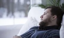 Could Humans Hibernate?
