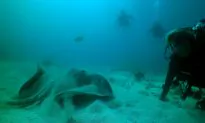 Shipwreck Diving and Star Gazing in the Genuine Florida Keys