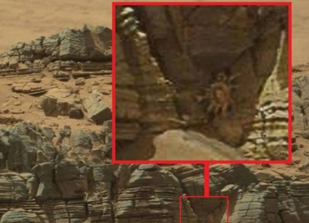 (NASA)