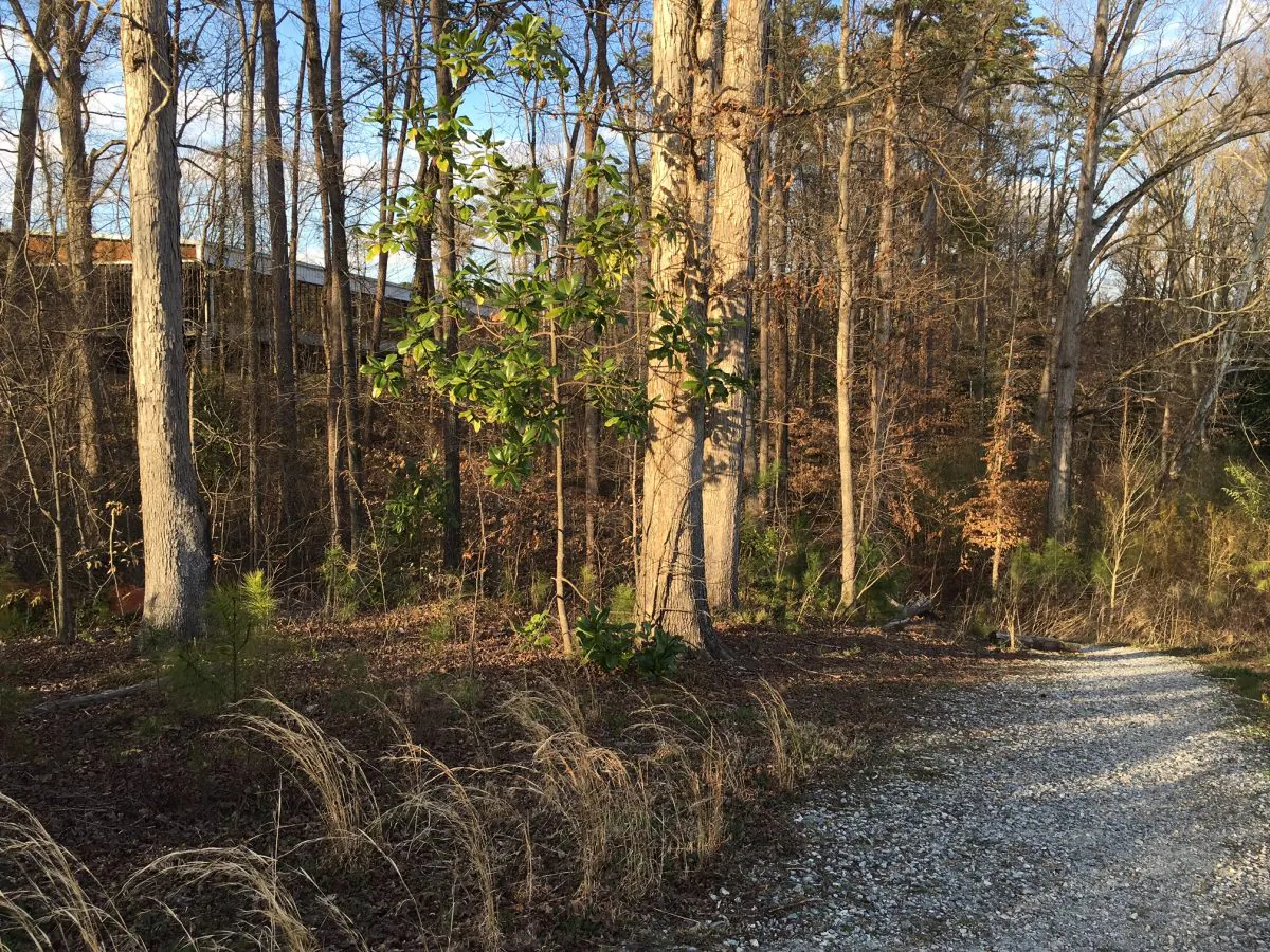 The path to Avis Williams Library (upper left) in Atlanta, Ga. on March 10, 2016. (Mary Silver/Epoch Times)