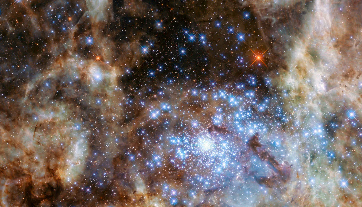 (NASA/ESA/P Crowther/University of Sheffield)