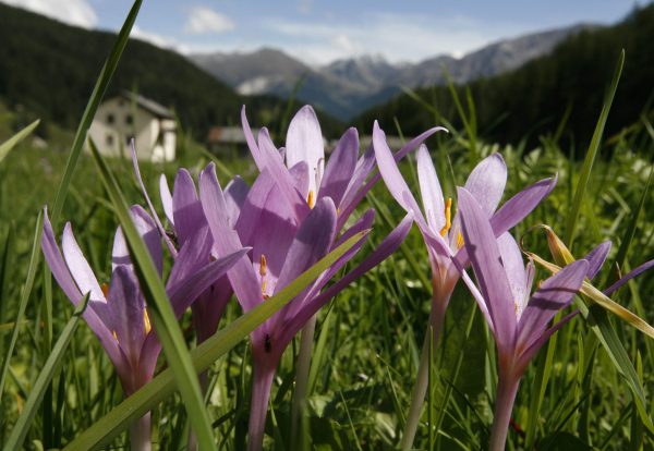 (Photo/Keystone, Arno Balzarini)