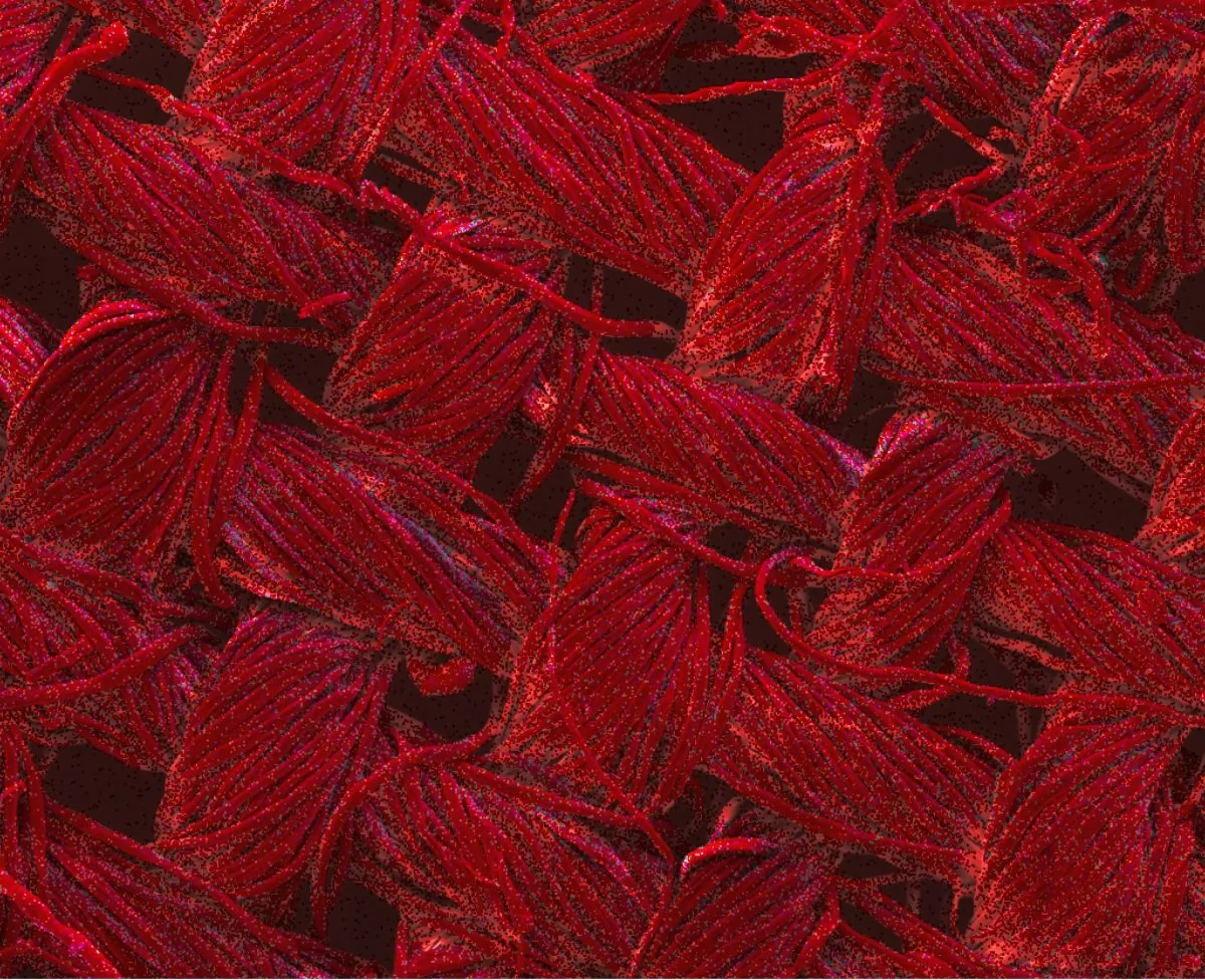 The red colour indicates the presence of silver nanoparticles - the total coverage on the image shows the nanostructures grown by the RMIT team are present throughout the textile. Image magnified 200 times. (RMIT University)