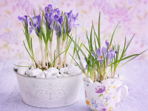 (Sarsmis/iStock)