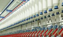 Traditional Business Models Won’t Survive a Robot Takeover