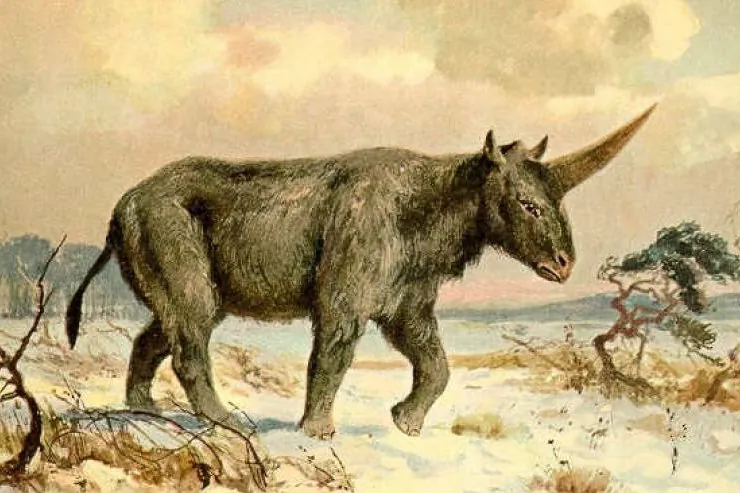 Painting of the Elasmotherium sibiricum or "Siberian unicorn" by Heinrich Harder. (Public Domain)