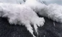 How to Best Survive Avalanches