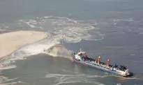 Palm Beach Reef Suffers Rampant Damage