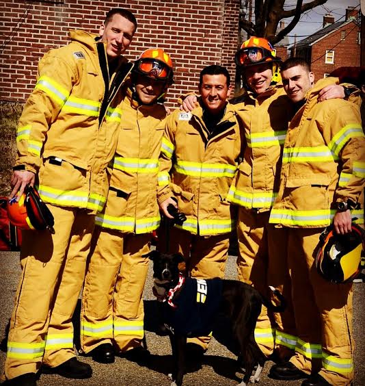Left to right: Ryan Powers , Timothy Guerra , Shane Mezzacappa , VIncent Curtin , Patrick Gannon (Photo courtesy Shane Mezzacappa)