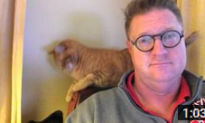 Man’s Stoic Expression Priceless Amidst His Cat and Dog Hilarious Fight