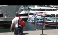 Video: Whale-Watching Boat Crashes Into San Diego Wharf