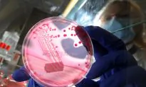 Know Your Bugs—a Closer Look at Viruses, Bacteria, and Parasites