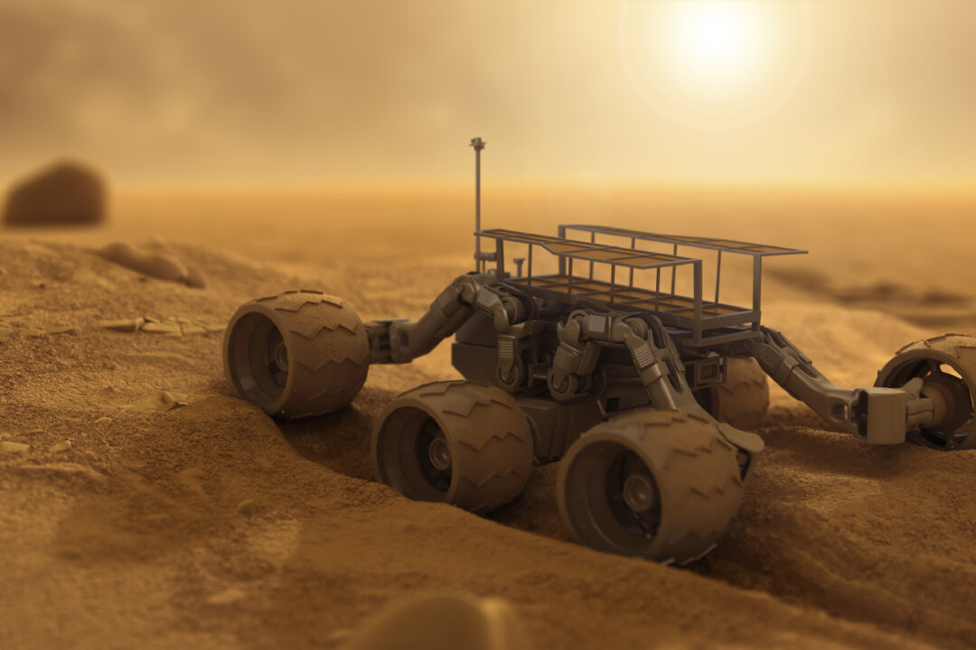 Exploler Robot How Robot Explorers Are Making the Finds of the Future | The Epoch Times