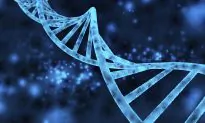 An Ancient Retrovirus Has Been Found in Human DNA—and It Might Still Be Active
