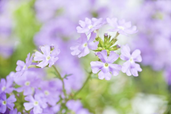 (Delpixart/iStock)