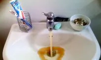 The United States of Flint