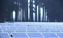 Solar: A Brilliant Way to Get Energy