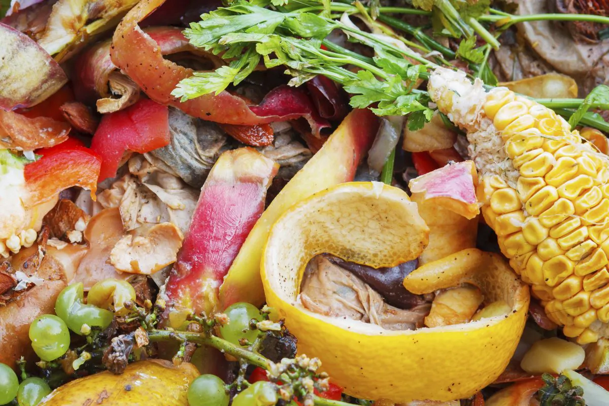 A pile of compost. (piotr_malczyk/iStock Photos)