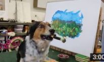 Amazing Trainer Guides Dog to Paint Landscape Picture