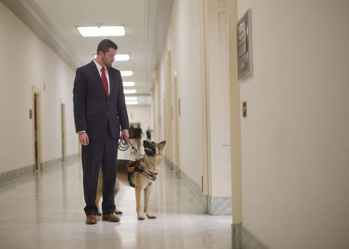 Military veteran Cole Lyle, who suffers with PTSD, and his dog Kaya, waits in the hallway of the Rayburn House Office Building on Capitol Hill in Washington, Thursday, April 14, 2016, prior to testifying before the House National Security subcommittee hearing on "Connecting Veterans with PTSD with Service Dogs." (AP Photo/Pablo Martinez Monsivais)