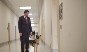 Marine Campaigns to Get Service Dogs for Veterans with PTSD