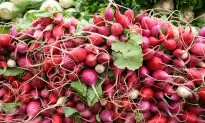 Radishes Rank Highly for Ability to Aid Health