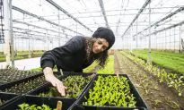 Why Our Health Depends on the Soil