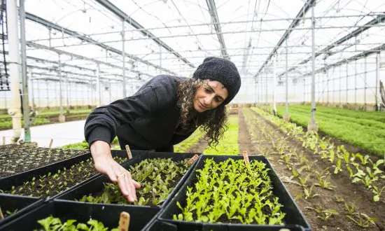 Why Our Health Depends on the Soil