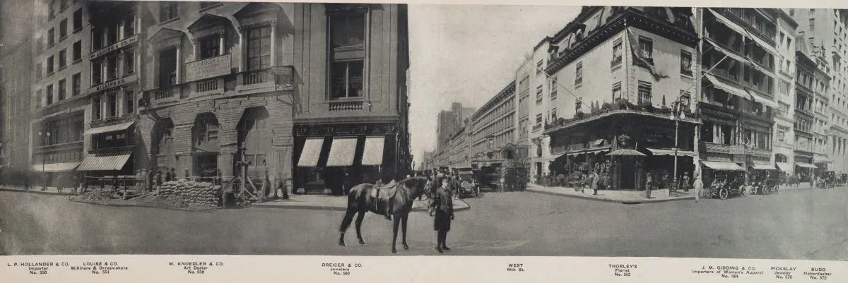 Busy bussiness area around West 46th Street, with a florist, jeweler, art dealer or women's apparel importer. (NYPL)