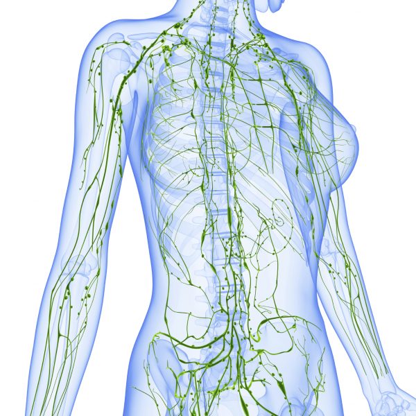 Signs of a Clogged Lymphatic System and 10 Ways to Cleanse It