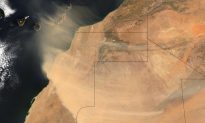 What Dust From the Sahara Does to You and the Planet