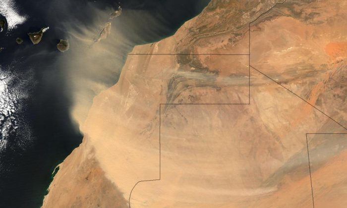 Dusty. (Western Sahara/Flickr, CC BY-SA)